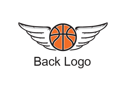 wings behind basketball