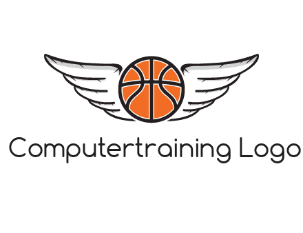 wings behind basketball