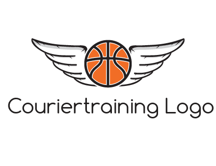 wings behind basketball