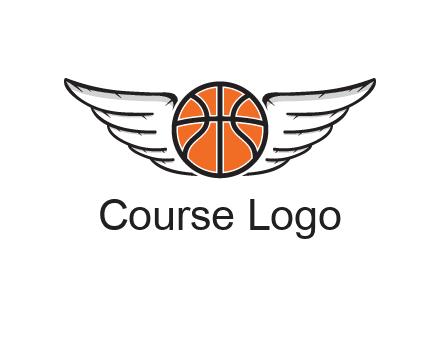 wings behind basketball