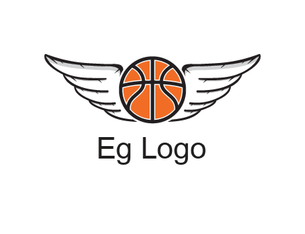 wings behind basketball