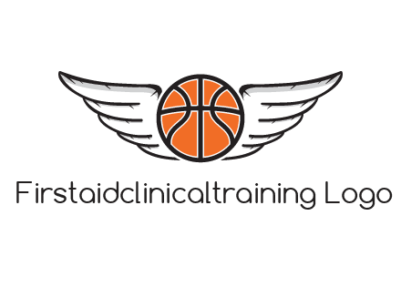 wings behind basketball