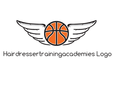 wings behind basketball