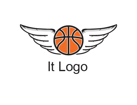 wings behind basketball