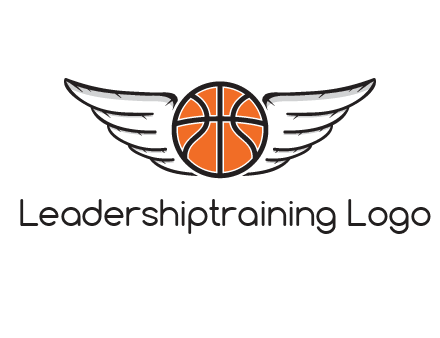 wings behind basketball