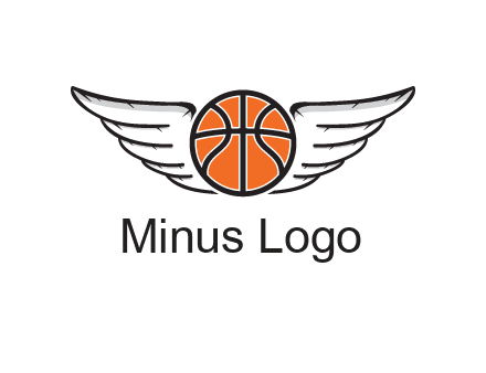wings behind basketball