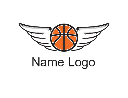 wings behind basketball
