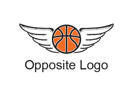 wings behind basketball