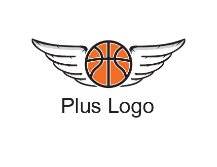 wings behind basketball