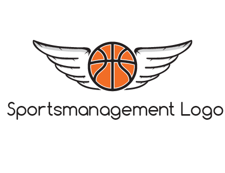 wings behind basketball