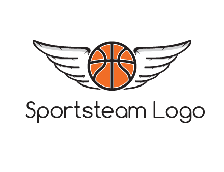 wings behind basketball