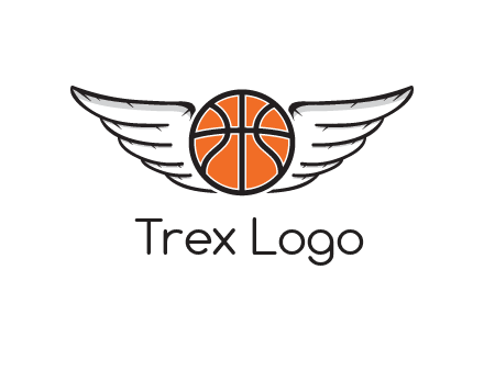 wings behind basketball
