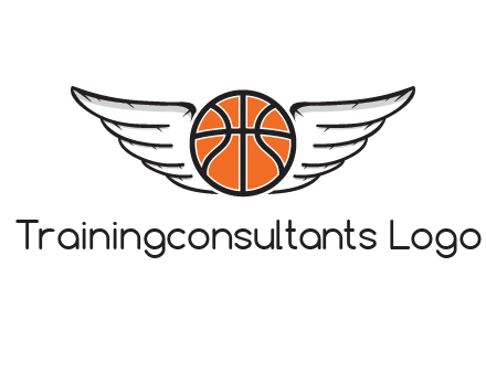 wings behind basketball
