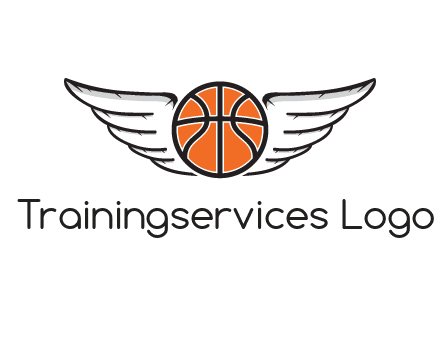 wings behind basketball