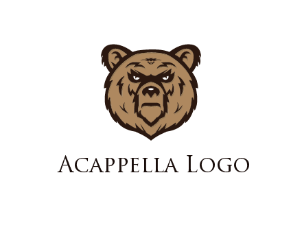 angry bear face