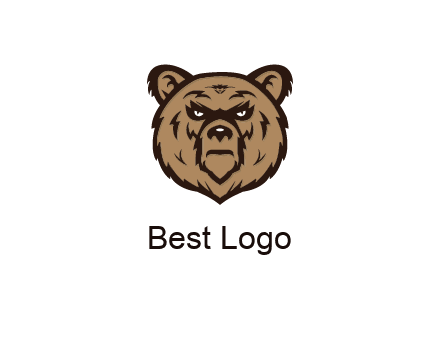 angry bear face