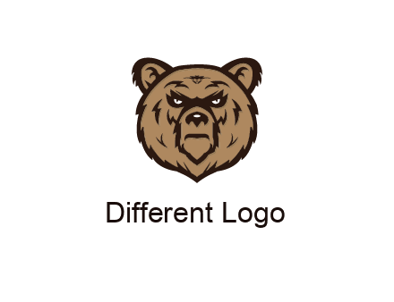 angry bear face