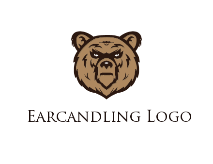 angry bear face