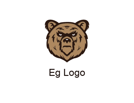 angry bear face