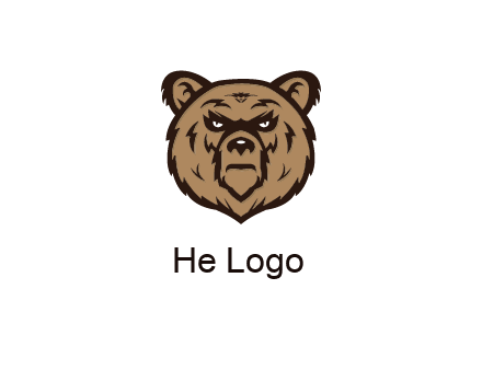 angry bear face