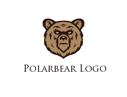 angry bear face