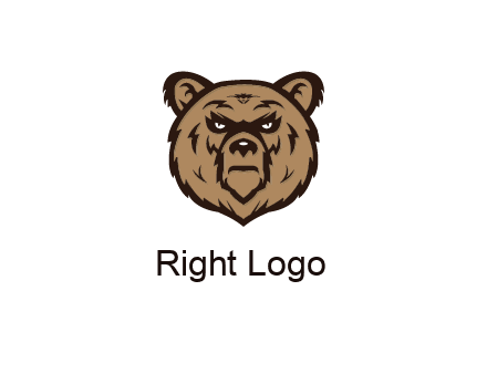 angry bear face
