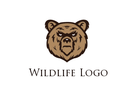 angry bear face