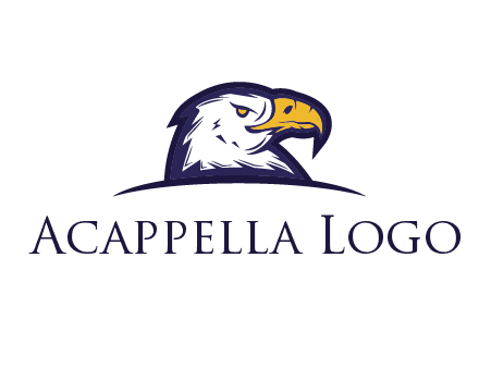 eagle face side pose with curved beak