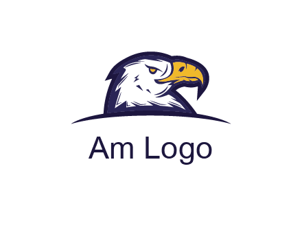 eagle face side pose with curved beak