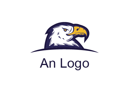 eagle face side pose with curved beak