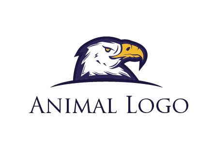 eagle face side pose with curved beak