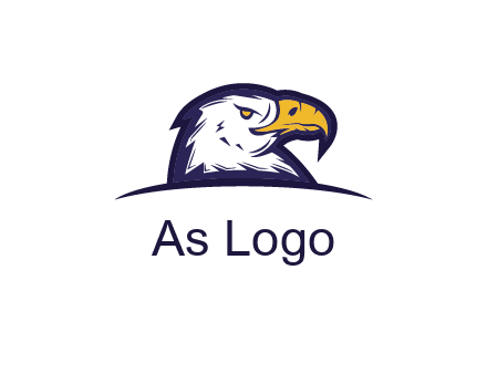 eagle face side pose with curved beak