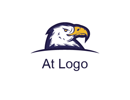 eagle face side pose with curved beak