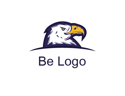 eagle face side pose with curved beak