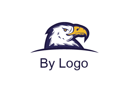 eagle face side pose with curved beak