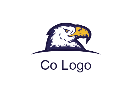 eagle face side pose with curved beak