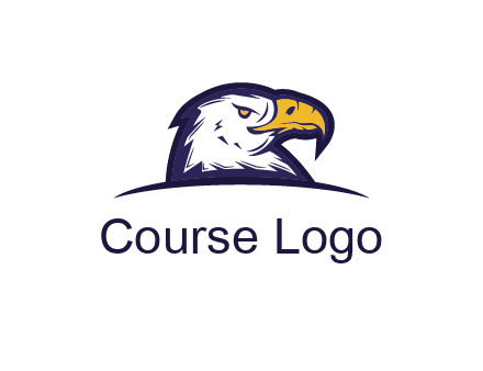 eagle face side pose with curved beak