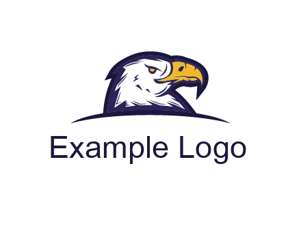 eagle face side pose with curved beak
