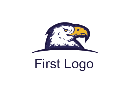 eagle face side pose with curved beak
