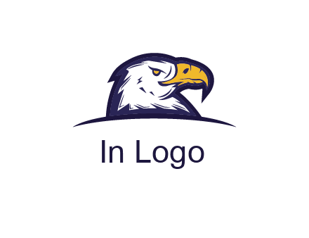 eagle face side pose with curved beak