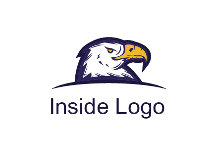 eagle face side pose with curved beak