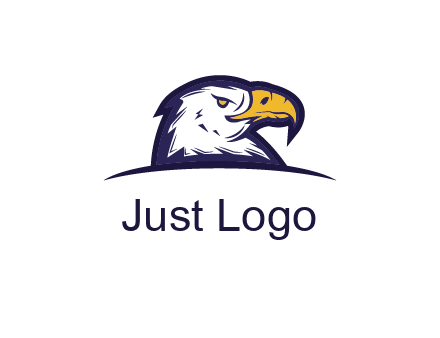 eagle face side pose with curved beak