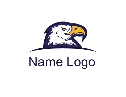 eagle face side pose with curved beak