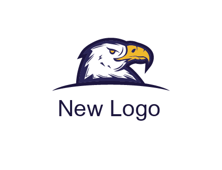 eagle face side pose with curved beak