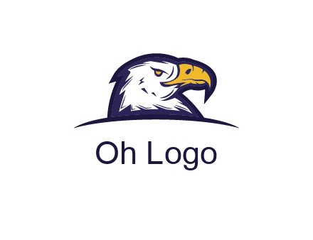 eagle face side pose with curved beak