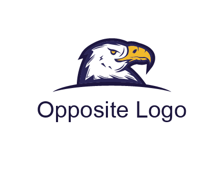 eagle face side pose with curved beak