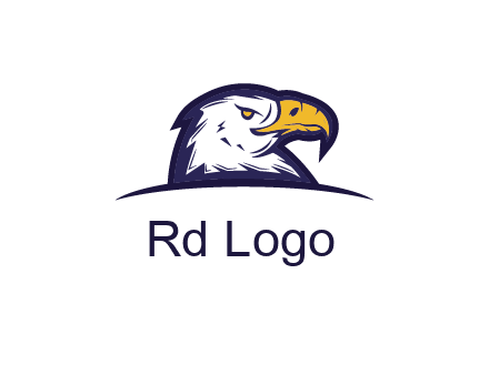 eagle face side pose with curved beak