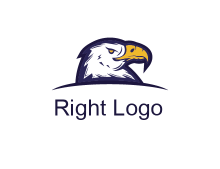 eagle face side pose with curved beak