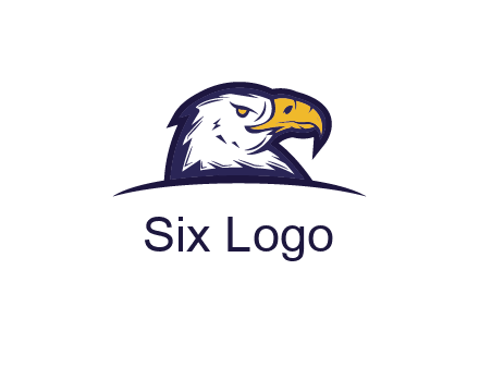 eagle face side pose with curved beak