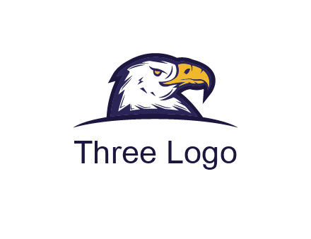 eagle face side pose with curved beak